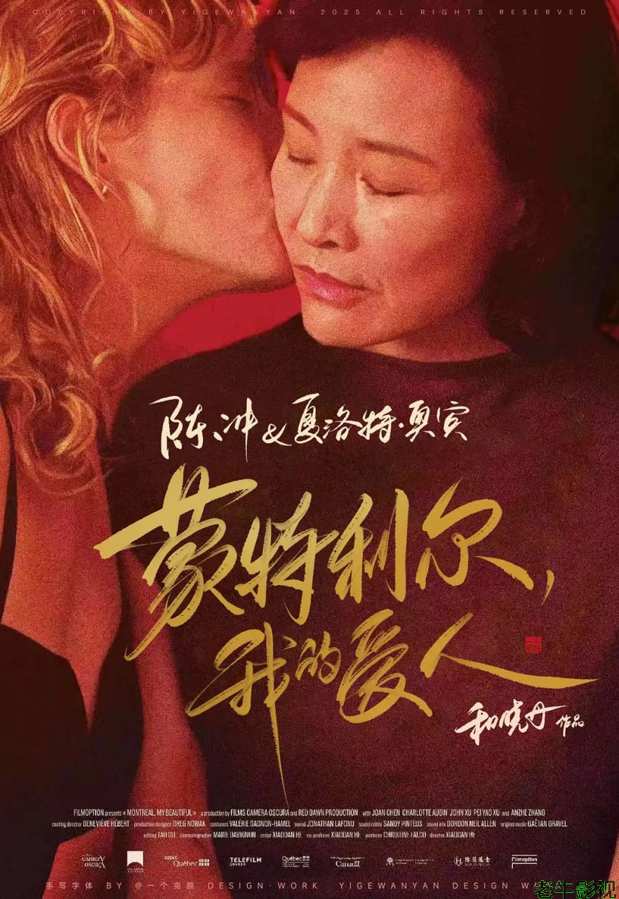 蒙特利尔，我的美人